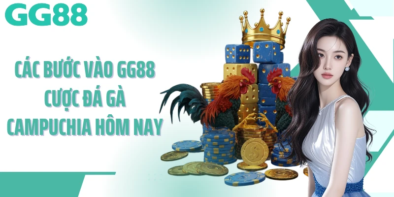 Các bước vào GG88 cược đá gà campuchia hôm nay