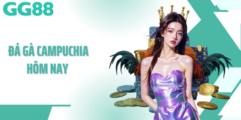 đá gà campuchia hôm nay