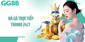 đá gà trực tiếp thomo 24/7