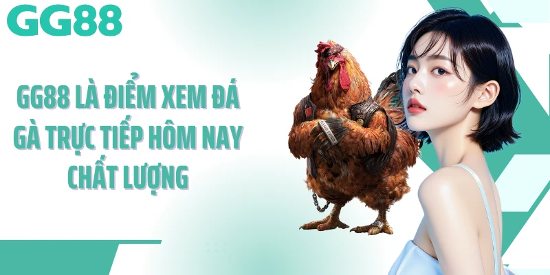 GG88 là điểm xem đá gà trực tiếp hôm nay chất lượng