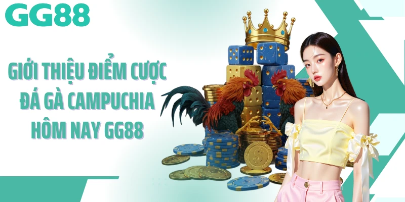 Giới thiệu điểm cược đá gà campuchia hôm nay GG88