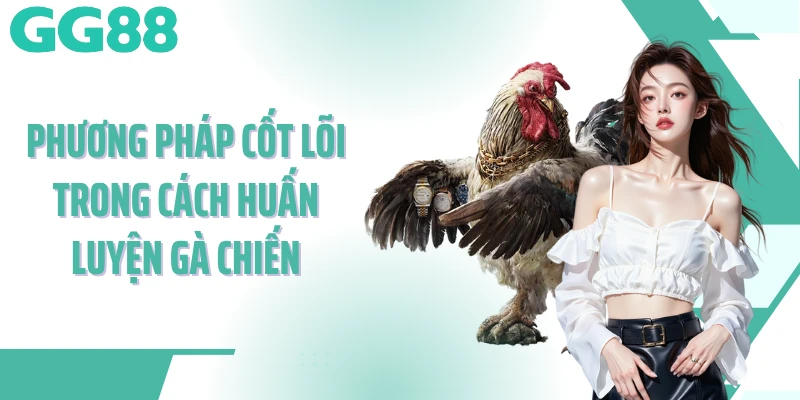 Phương pháp cốt lõi trong cách huấn luyện gà chiến